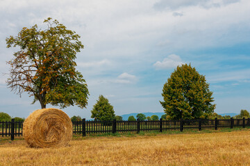 One hey bale on the field by the black picket fence, with few trees and blue sky and white clouds