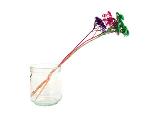 Colorful flowers in glass isolated on white background in minimalist style