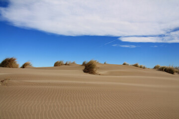 Fototapeta premium Natural and wild beach with a beautiful and vast area of dunes, Camargue region in the South of Montpellier, France 