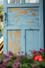 Old blue door and pink flowers