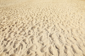 Beautiful view of sandy surface as background