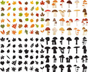 leaves and mushrooms collection in flat style, isolated, vector
