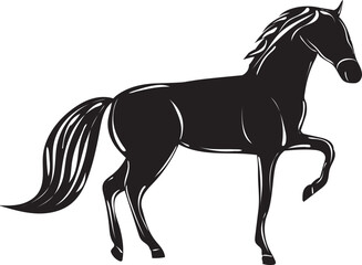 horse silhouette on white background