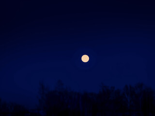 Fototapeta premium moon over sky