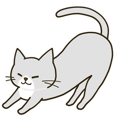 伸びをするシンプルなハチワレグレー猫