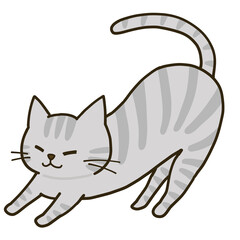  伸びをするシンプルなサバトラ猫