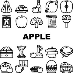 apple red food green leaf freash icons set vector. slice half. Healtthy organic cut, diet sweet, juicy ripe piece, juice nature art apple red food green leaf freash black contour illustrations