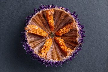 Sea urchin