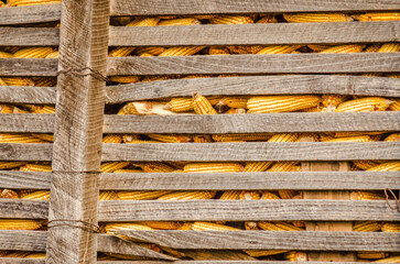 Traditional rural corn barn in a Europe . Rustic wooden corn barn at farm, closeup view, rural scene.