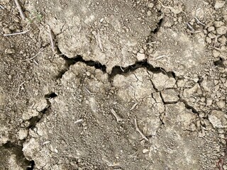 Texture of dry cracked soil due to global warming effect, aridity, drought. Top view. Nature background.