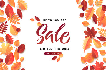 Autumn Fall Season Sale Banner. Colorful fall leaves and advertising discount text. Vector background design.