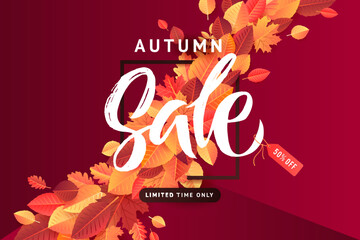 Autumn Fall Season Sale Banner. Colorful fall leaves and advertising discount text. Vector background design.