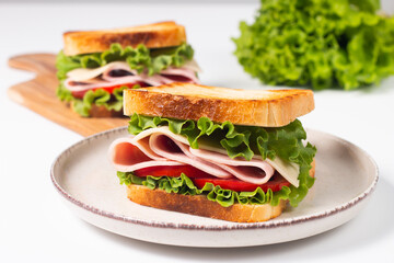 Close-up photo of an American club sandwich. Fast food concept. 