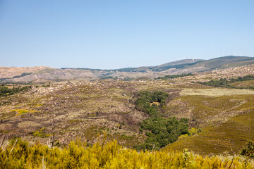 Fototapeta premium paisagem