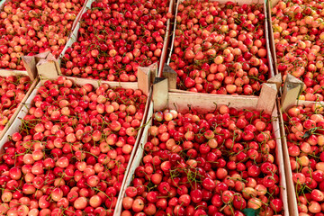 Sweet cherry on a farm market
