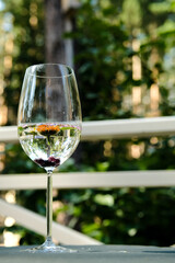 A glass of white wine. Minimalism. A glass of water against the background of the garden.