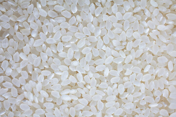 Rice used for Japanese Sushi. 　Short Grain Sushi Koshihikari Rice. High resolution.