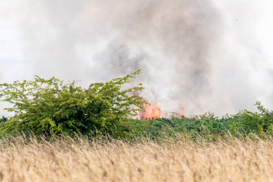  A wildfire on Salisbury Plain, Wiltshire, England, in July 2022. Flames and smoke were visible only a few hundred meters from a public byway closed for safety shortly after this photo was taken.