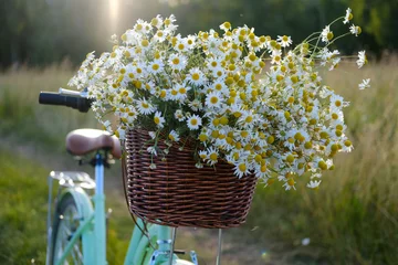 Foto auf Alu-Dibond beautiful vintage bicycle with a bouquet of wild flowers in a basket © androsov858