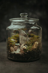 forest in glass in studio on dark background