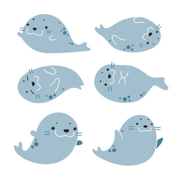 vector cartoon set of funny cute fur seals in various poses isolated on white background. useful for web, graphic design, print, patterns, wallpapers, baby products, aquarium, swimming pool, bathroom