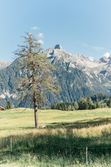 Fototapeta na wymiar Landschaft | Berge