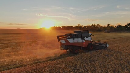 Fototapeta premium agriculture. harvester harvests wheat in a field at sunset. business farm agriculture concept. harvester combine working in agricultural field of wheat plantation. lifestyle agriculture concept