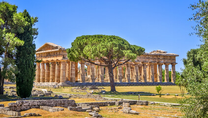 Ruins of Paestum & Velia (Sorrento), Italy