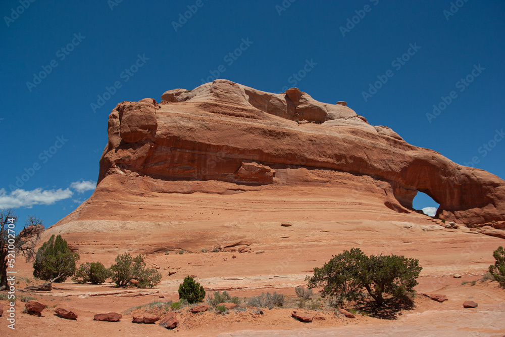 Wall mural Arches National Park - Utah