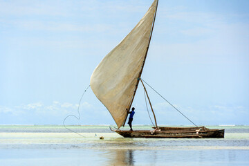 traditional african sailing outrigger canoes with sails