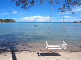 vintage swing hanging under big tree on the beach.