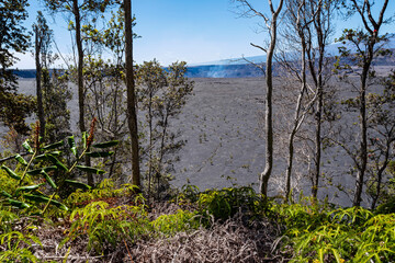 crater rim trail woodlands and halemaumau crater in hawaii volcanoes national park