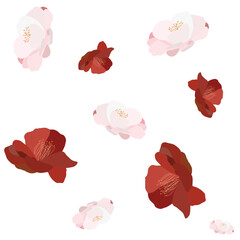 White and red camellia, rose flowers. Hand drawn flat vector illustration isolated on white background