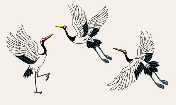 Set of Japanese Heron Bird