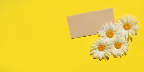 craft brown envelope and four white daisies on yellow background, banner