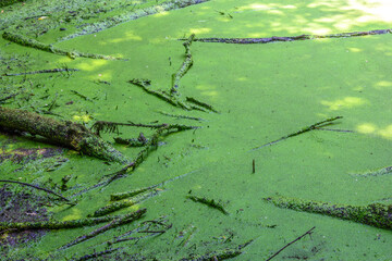 友ヶ島の砲台跡
