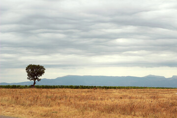 Frankreich Provence Landschaft Urlaub Feld Berge Wolken