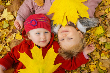 Naklejka na ściany i meble Adorable toddler kids lieing on the ground and playing with yellow fallen leaves in autumn park.