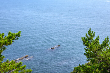 友ヶ島から望む海