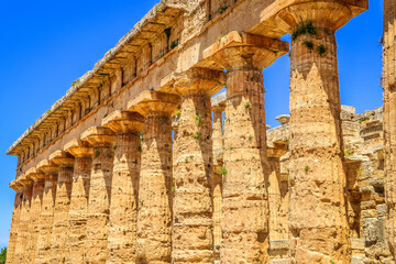 Ruins of Paestum & Velia (Sorrento), Italy