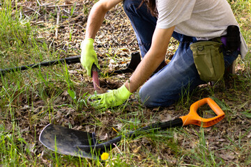 Naklejka premium a man in gloves is looking for a treasure in the ground with the help of a pinpointer in the spring forest. shovel in front
