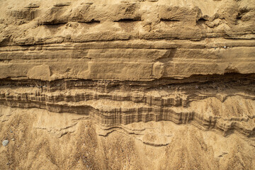 Surface sandy shore. Close-up of sandy rock