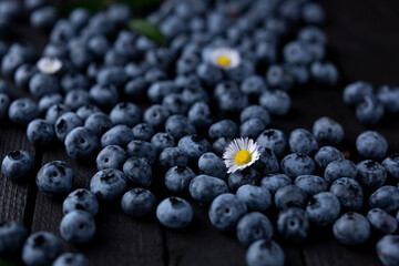 Fresh blueberry background, blueberries with space for text. Vegetarian concept. Berry textures. healthy eating