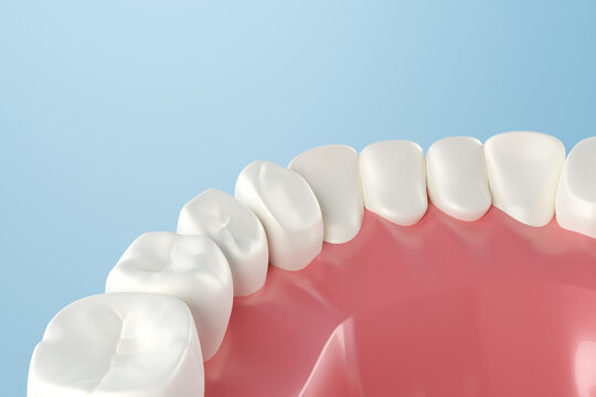 Dental healthy teeth and gum with blue background. 3D rendering.