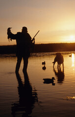 Silhouetted waterfowl hunter at sunrise 