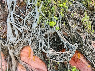 fishing net and rope