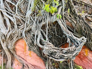 fishing net and rope