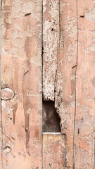 Detail of the texture of a wall made of wood