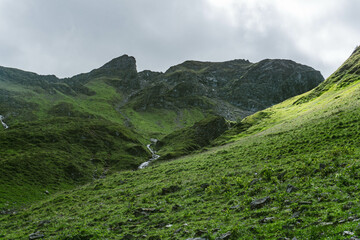 Fototapeta premium green valley in the mountains