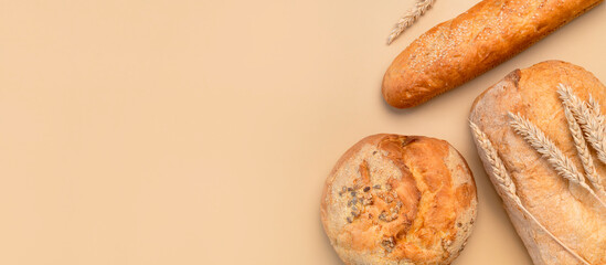 Bread background. Fresh white wheat bread, round classic, ciabatta, french baguette, wheat ears and grains on beige background flat lay top view. Bread making, bakery, healthy food. Light mockup